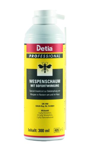 917601_Wespenschaum_1